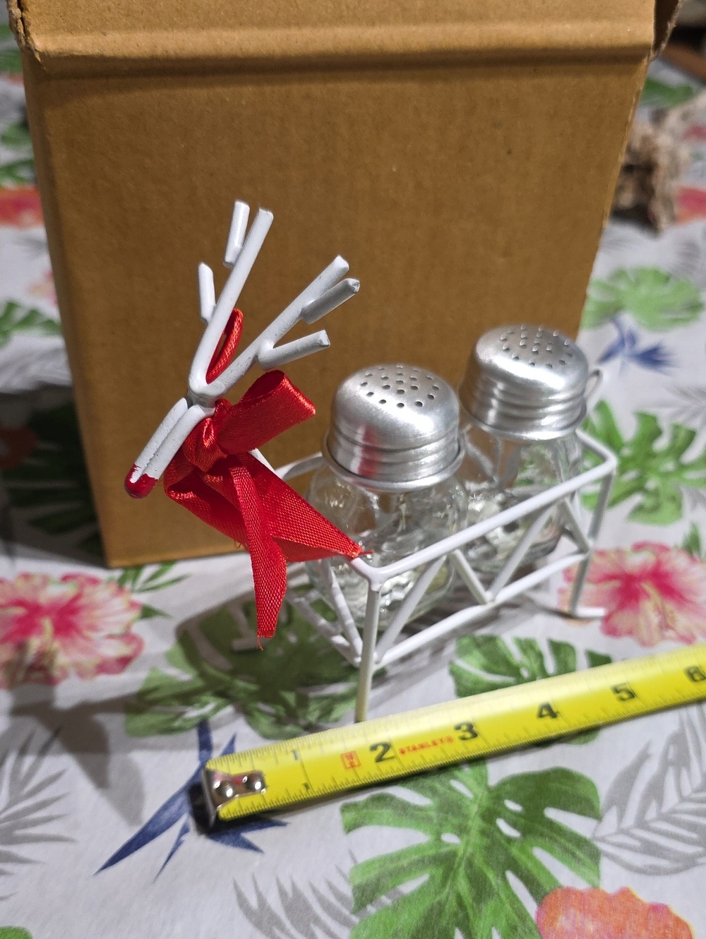 Red Ribbon White Salt and Pepper Shaker Set